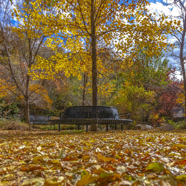 Plaza Hermoso parque con asientos relajantes y suelo cubierto de hojas caídas
 - Foto, Imagen