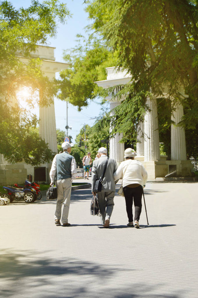Visão traseira do casal idoso feliz com seu amigo pelo aposentado durante uma caminhada no Parque
 - Foto, Imagem