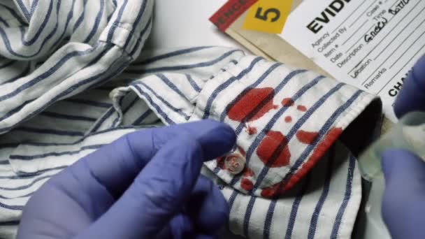 Rendőrségi szakértő vizsgálja a vér egy gomb az ing a jelenet a bűncselekmény - Felvétel, videó