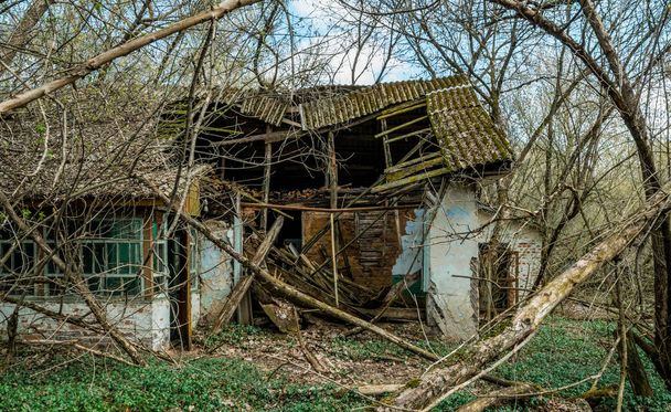 Old abandoned country house in the exclusion zone. Consequences of the Chernobyl nuclear disaster - Foto, afbeelding