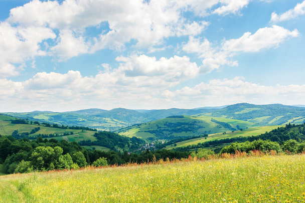 beautiful summer countryside in mountains - Photo, image