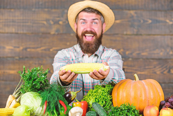Grow organic crops. Community gardens and farms. Healthy lifestyle. Farmer hold corncob or maize wooden background. Farmer presenting organic homegrown vegetables. Homegrown organic harvest benefits - Photo, Image