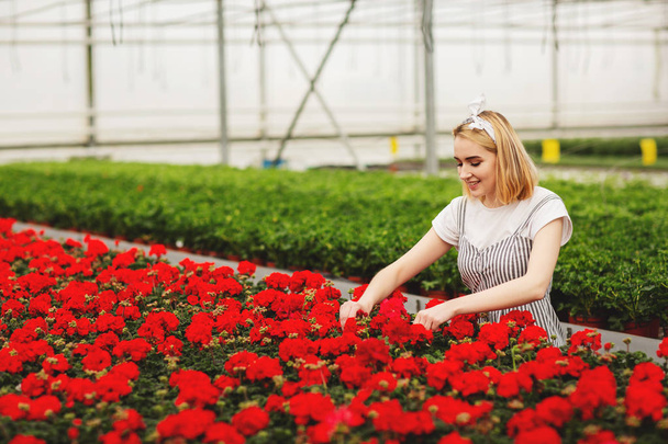 Mooi jong glimlachend meisje, werknemer met bloemen in de kas. Concept werk in de kas, bloemen. Ruimte kopiëren - Foto, afbeelding