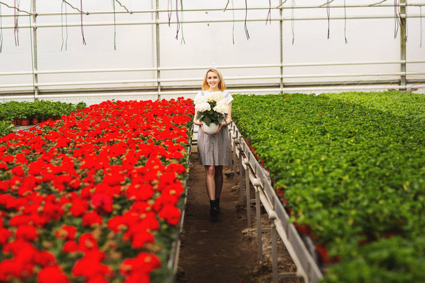 Beautiful young smiling girl in dress, worker with flowers in greenhouse. Girl holds white flowers - Photo, Image