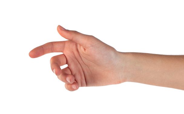 hand to handshake isolated on a white background - Zdjęcie, obraz