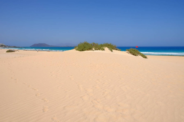 Dunas de arena y playa en Parque Nacional Corralejo, Fuerteventura
. - Foto, Imagen