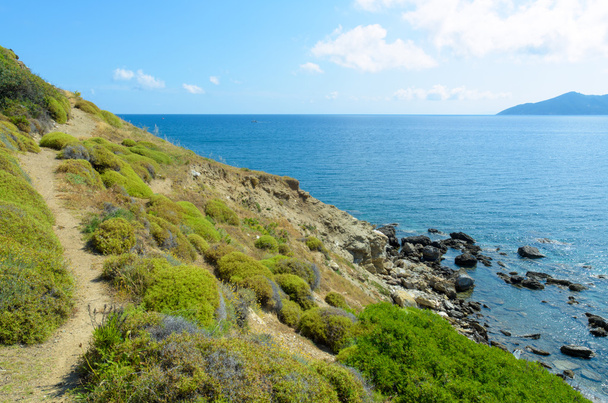 Small path on coastline cliffs - Фото, зображення