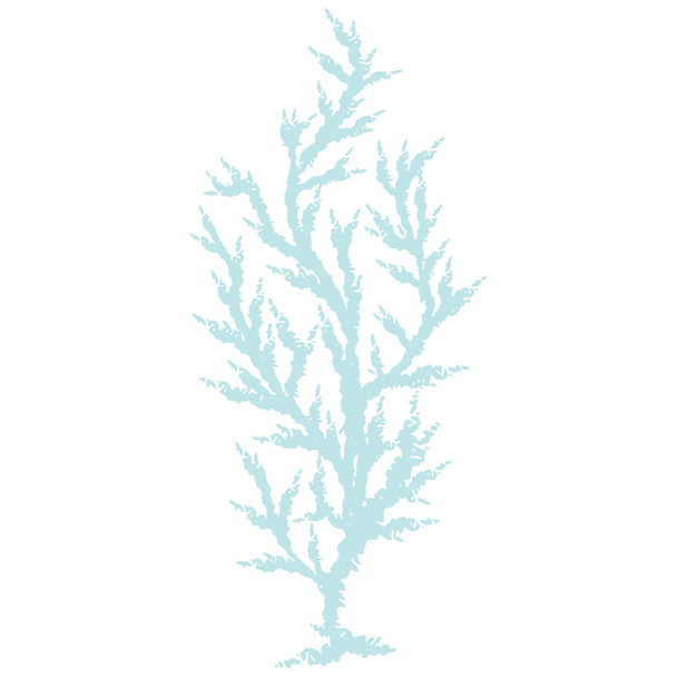 niedlichen hellblauen Algen Algen Cartoon Vektor Illustration Motivset. handgezeichnete isolierte Korallenriffelemente Cliparts für den Blog zur nautischen Ozeanologie, Pflanzengrafik. - Vektor, Bild