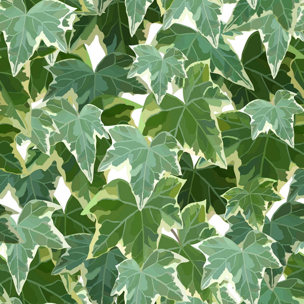 Gemeenschappelijke Ivy groen naadloze patroon vector illustratie - Vector, afbeelding