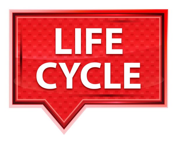 Life Cycle misty rose pink banner button - Photo, Image