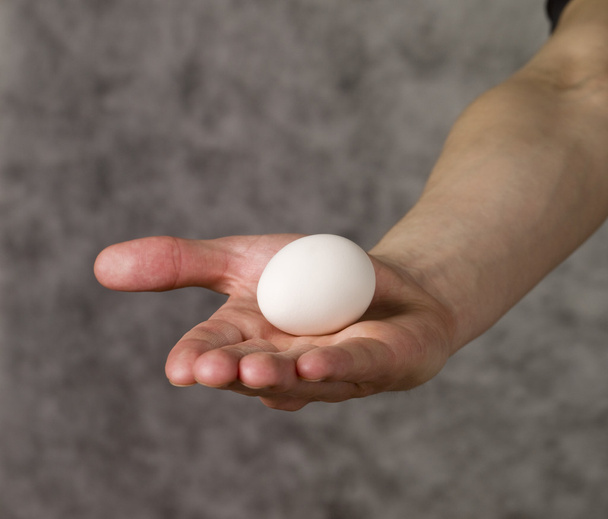 Egg - Foto, imagen