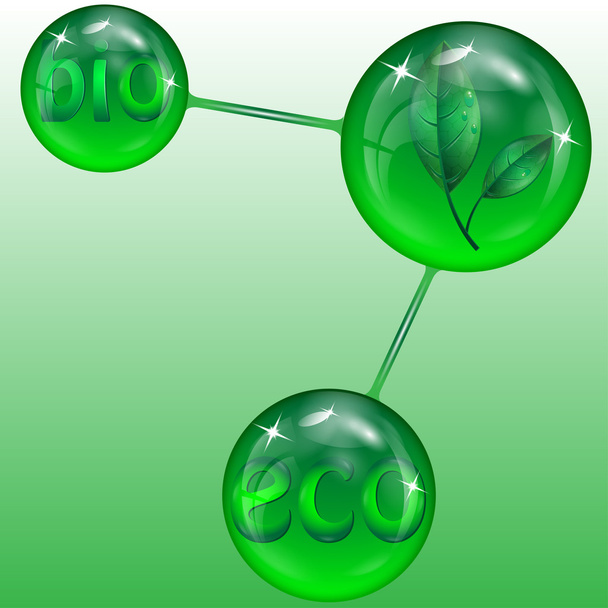 Spheres with green letters and leaves - Vector, Image