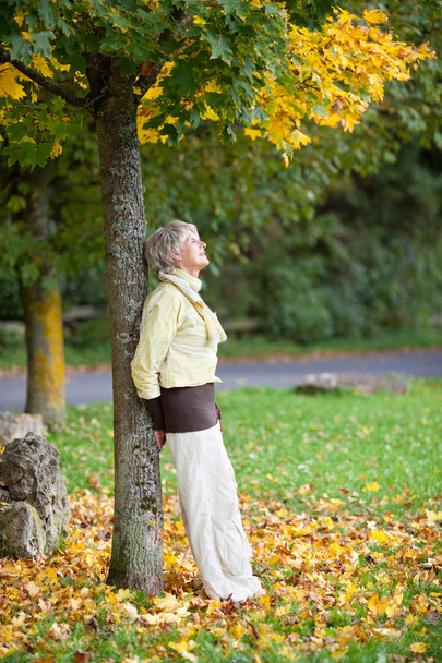 Senior Woman Leaning On Tree Trunk In Autumn At Park - Valokuva, kuva