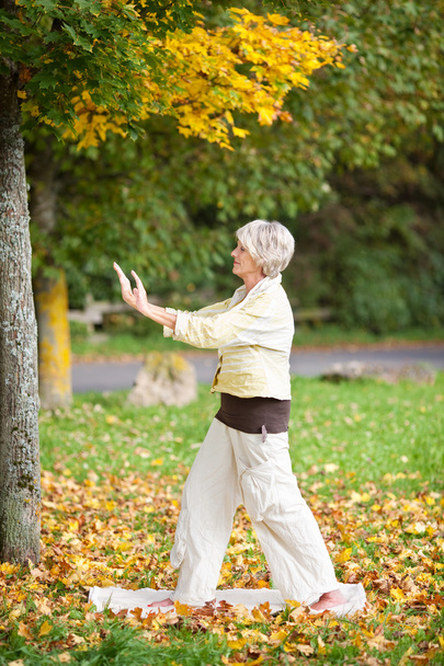 Senior Woman With Arms Raised Doing Yoga In Park - Foto, Imagen