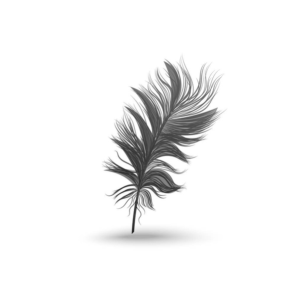 Single fluffy black feather falling or hovering upright realistic style - Vector, Image