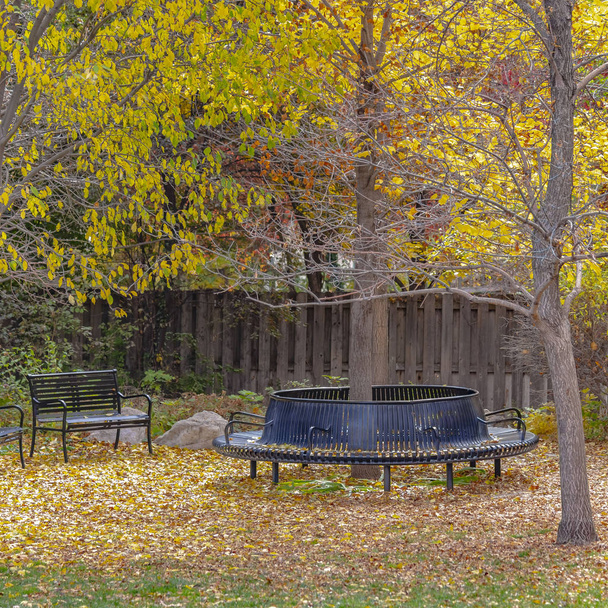 Vymazat čtverec prázdné lavice v parku pod bujnými stromy s jasným listím na podzim - Fotografie, Obrázek