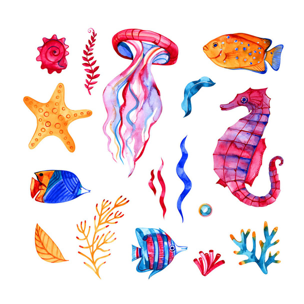 nautical elements, sea life, fish, seahorse, urchin, starfish watercolor illustration, isolated on white background - Photo, image