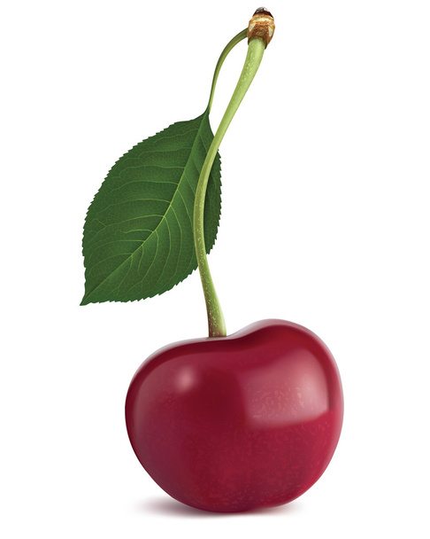 Cherry with leaf. Vector illustration - Vector, Image