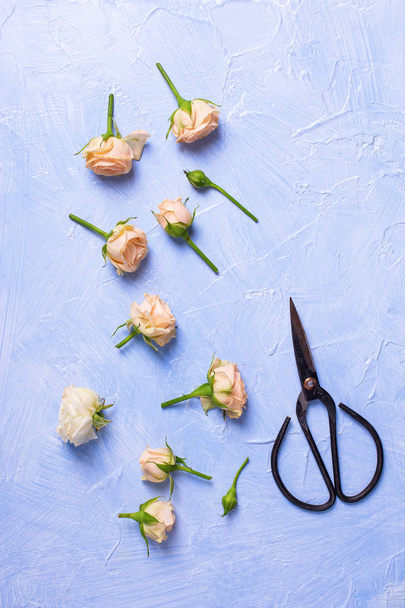 Kuvio tuoreesta poskipuna ruusut kukkia sininen kuvioitu backgrou
 - Valokuva, kuva