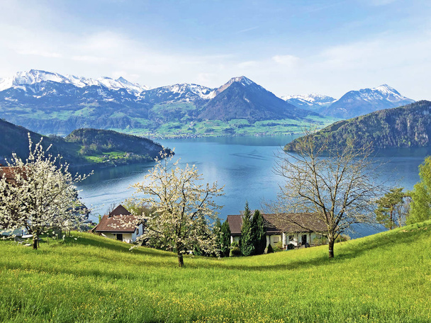 Veduta del lago di Lucerna o Vierwaldstaetersee con insediamento Vitznau e Alpi svizzere sullo sfondo - Cantone di Lucerna, Svizzera
 - Foto, immagini