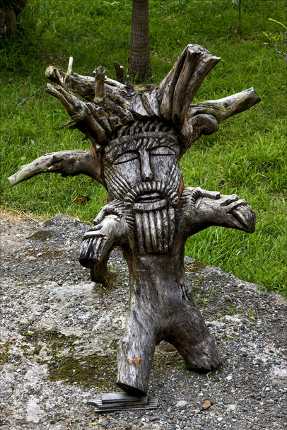 darab fa kerti mauritius - Fotó, kép