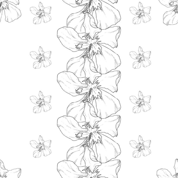 Seamless pattern. Plant in blossom, branch with flower ink sketch. Template for a business card, banner, poster, notebook, invitation, color book - Vektör, Görsel