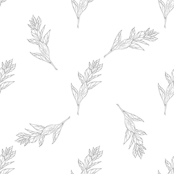 Seamless pattern. Plant in blossom, branch with flower ink sketch. Template for a business card, banner, poster, notebook, invitation, color book - Вектор,изображение