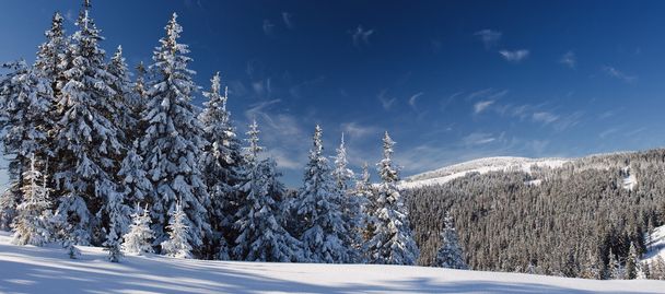 Invierno en montañas
 - Foto, imagen