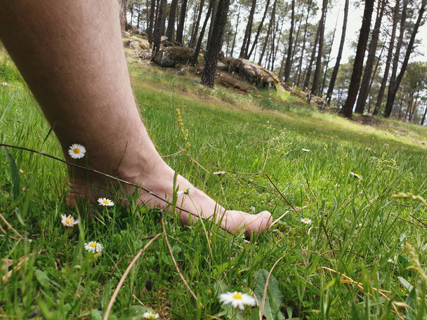 Pie descalzo de hombre caminando sobre La hierba con el Bosque de Fondo - Fotó, kép