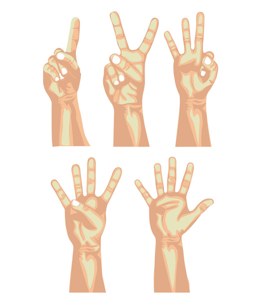 hands counting - Vector, Image