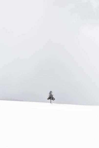 Krásné venkovní přírodní krajinu a vánoční strom v zimě sníh Ochutíme kopie prostoru - Fotografie, Obrázek