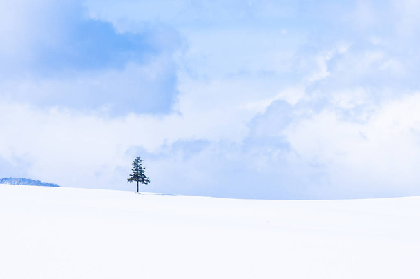 Bellissimo paesaggio naturale all'aperto e albero di Natale nella stagione invernale della neve con spazio copia
 - Foto, immagini