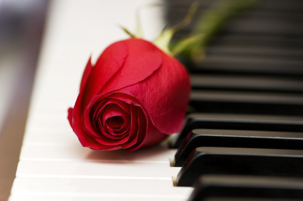 ρομαντική έννοια - κόκκινο αυξήθηκε στο πιάνο - Φωτογραφία, εικόνα