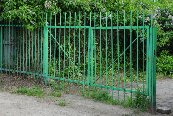 portas de ferro e galhos em vegetação verde fora
 - Foto, Imagem