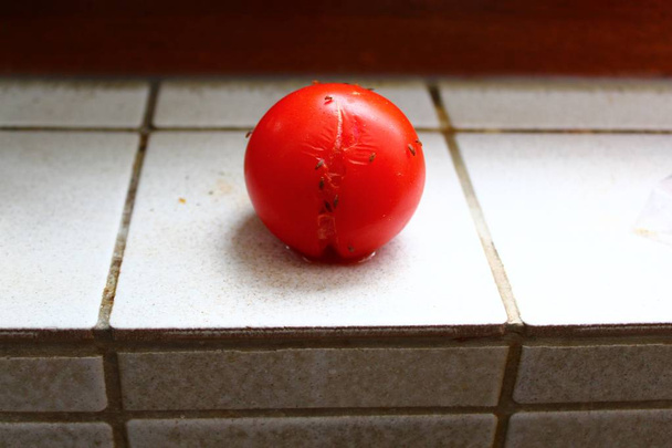 reife Tomate mit Fruchtfliegen - Foto, Bild
