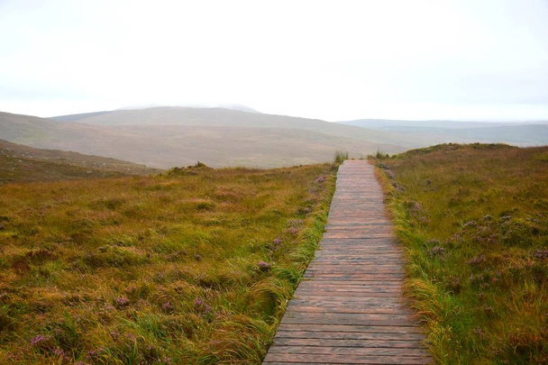 Um caminho de madeira através do Parque Nacional Connemara, na Irlanda
. - Foto, Imagem