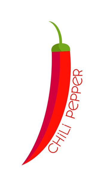 chili peper op witte achtergrond - Vector, afbeelding