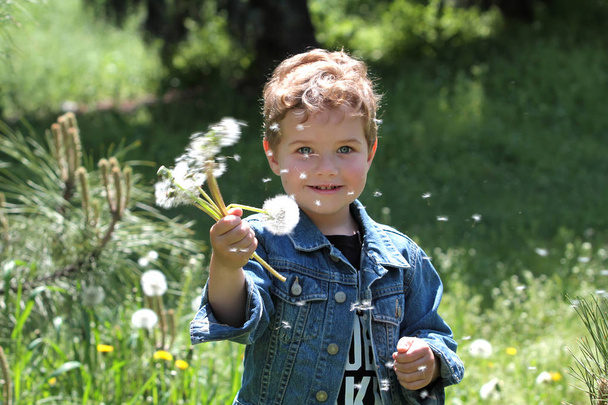 Маленький хлопчик розкидає насіння кульбаби
 - Фото, зображення