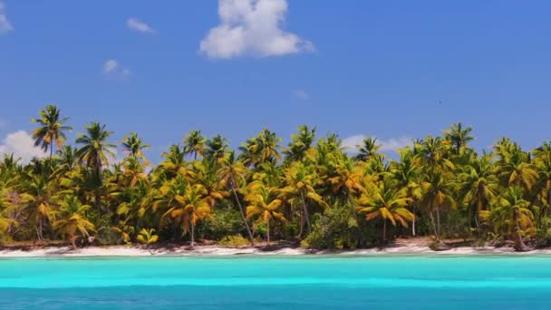 楽園の熱帯の島のビーチとカリブ海でのセーリング。プンタカナ,サオナ,ドミニカ共和国 - 映像、動画