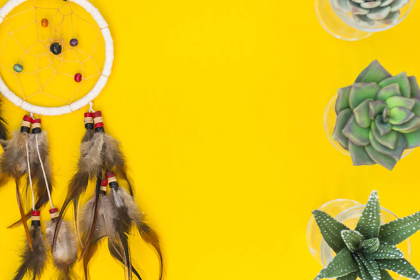 An Indian dreamcatcher with feathers lies in a woman's hand among cacti and succulents on a color bright yellow background. - Foto, afbeelding