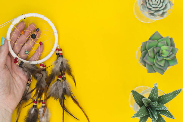An Indian dreamcatcher with feathers lies in a woman's hand among cacti and succulents on a color bright yellow background. - Valokuva, kuva