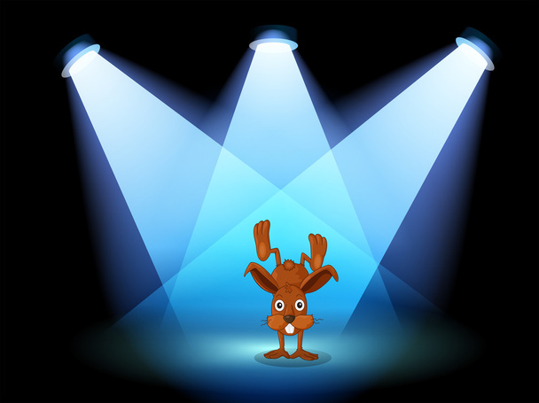 A bunny performing on a stage under the spotlights - Vector, Image