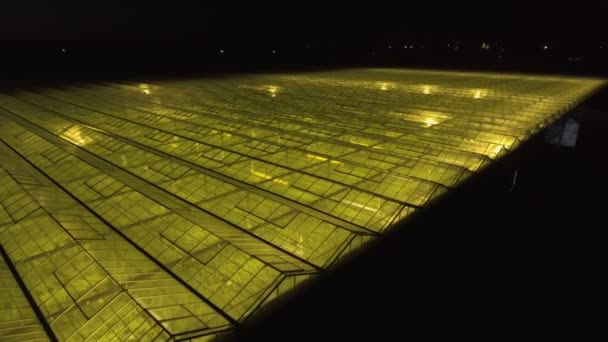 Flying over a large greenhouse with Cucumbers at hight - Footage, Video