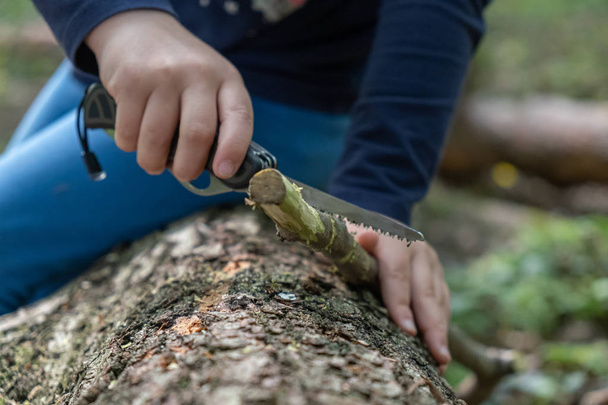 Mãos de menina ou menino usando uma faca suíça, serrando um pedaço de madeira na floresta, ninguém
 - Foto, Imagem