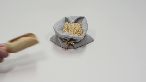 Hand spills quinoa grains - Imágenes, Vídeo
