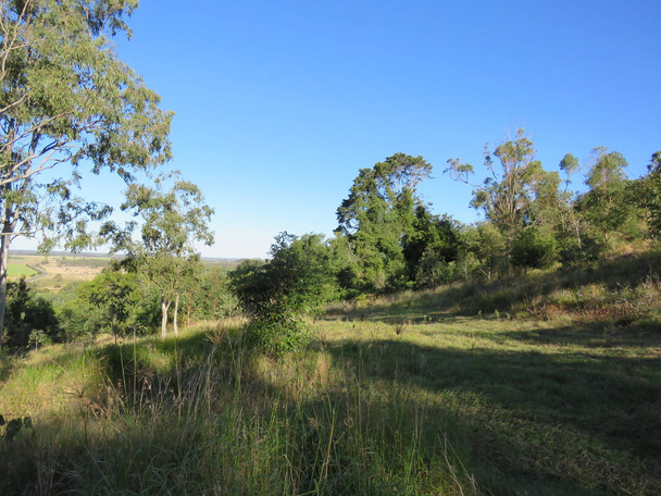 Gyönyörű regeneráló ausztrál natív bushland - Fotó, kép