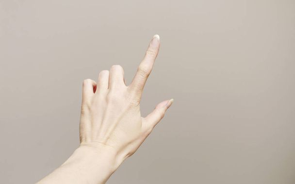 Woman's hand isolated on grey background. - Foto, afbeelding