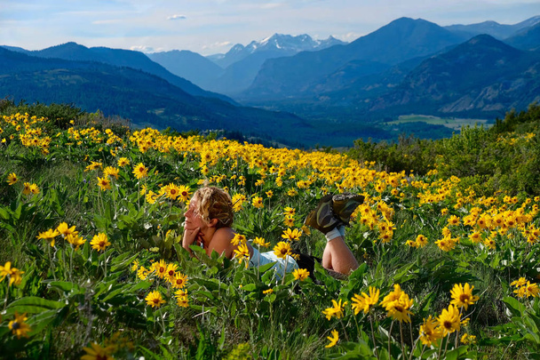 Relaxed woman lying down on meadows with yellow joyful flowers. Arnica balsamroot blooming in North Cascades Mountains. Winthrop. WA. USA - Photo, Image