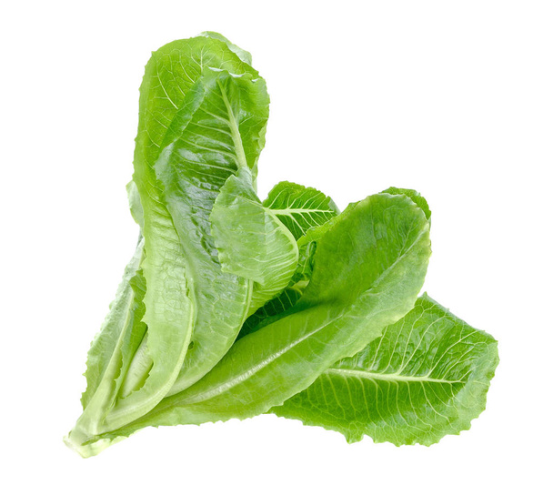 Cos Lettuce on White Background - Foto, Imagen