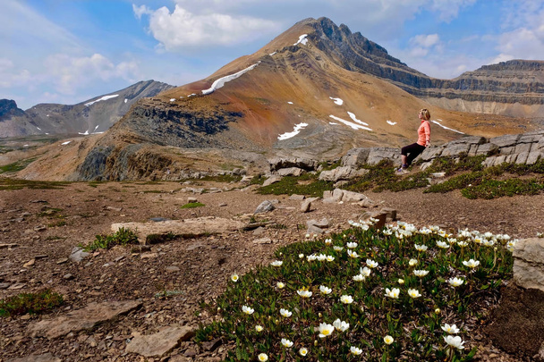 Женщина средних лет, путешествующая в Канадских Скалистых горах. Живописный вид на горную вершину и дикие цветы на альпийских лугах. Спокойный и спокойный пейзаж. Национальный парк Банф. Альберта. Канада
 - Фото, изображение